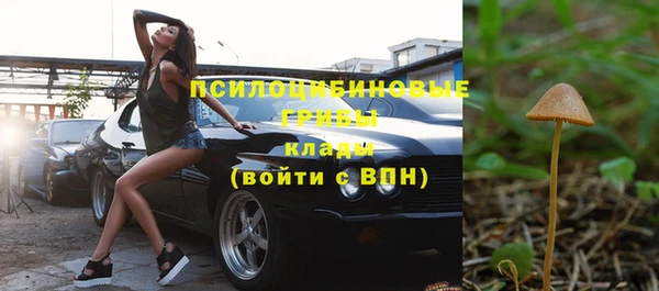 спиды Покровск