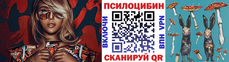 хочу   Челябинск  Псилоцибиновые грибы Psilocybine cubensis 